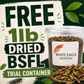 Free BSFL Sample